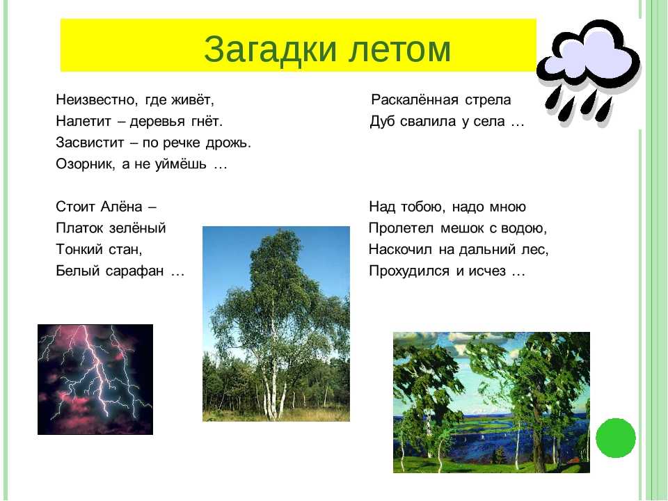 Загадки для детей (c ответами): 2000 самых интересных детских загадок ~ я happy мама