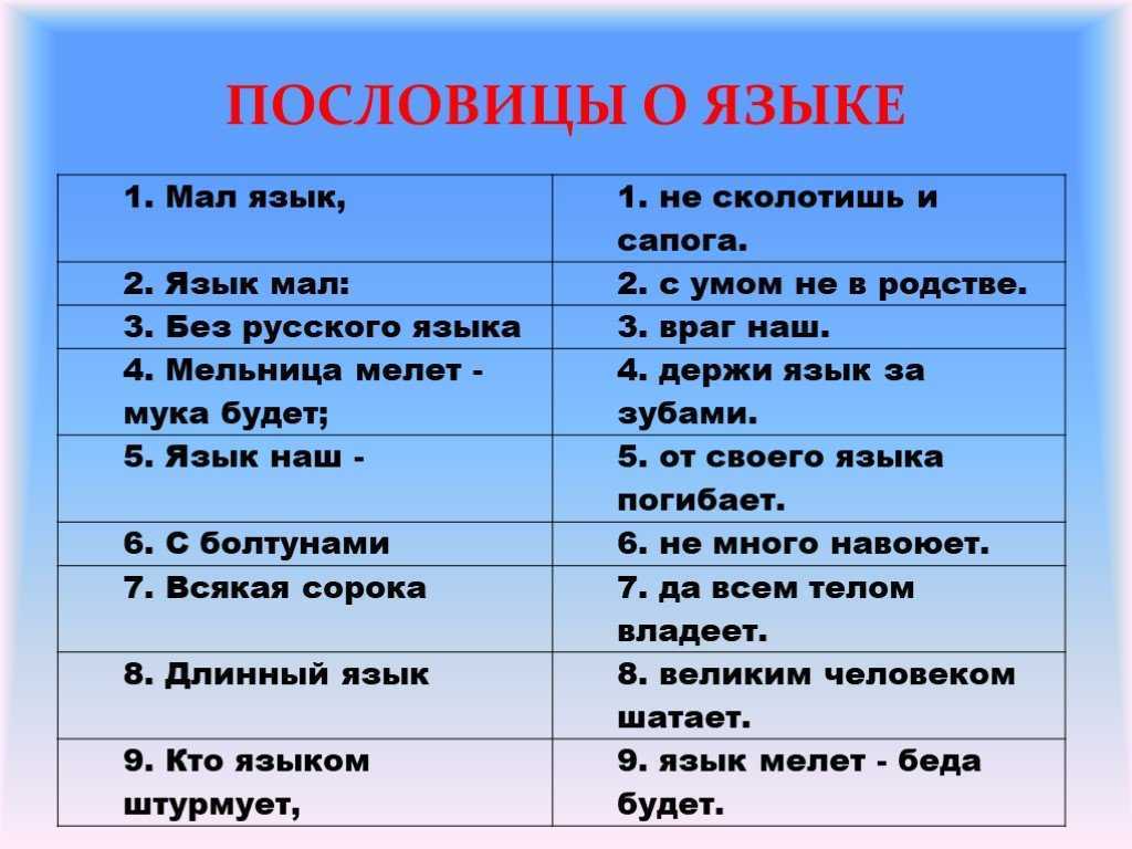 Пословицы про детей, дружбу, работу, животных и другие