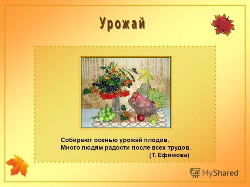 Детские стихи про огород — подборка стихотворений