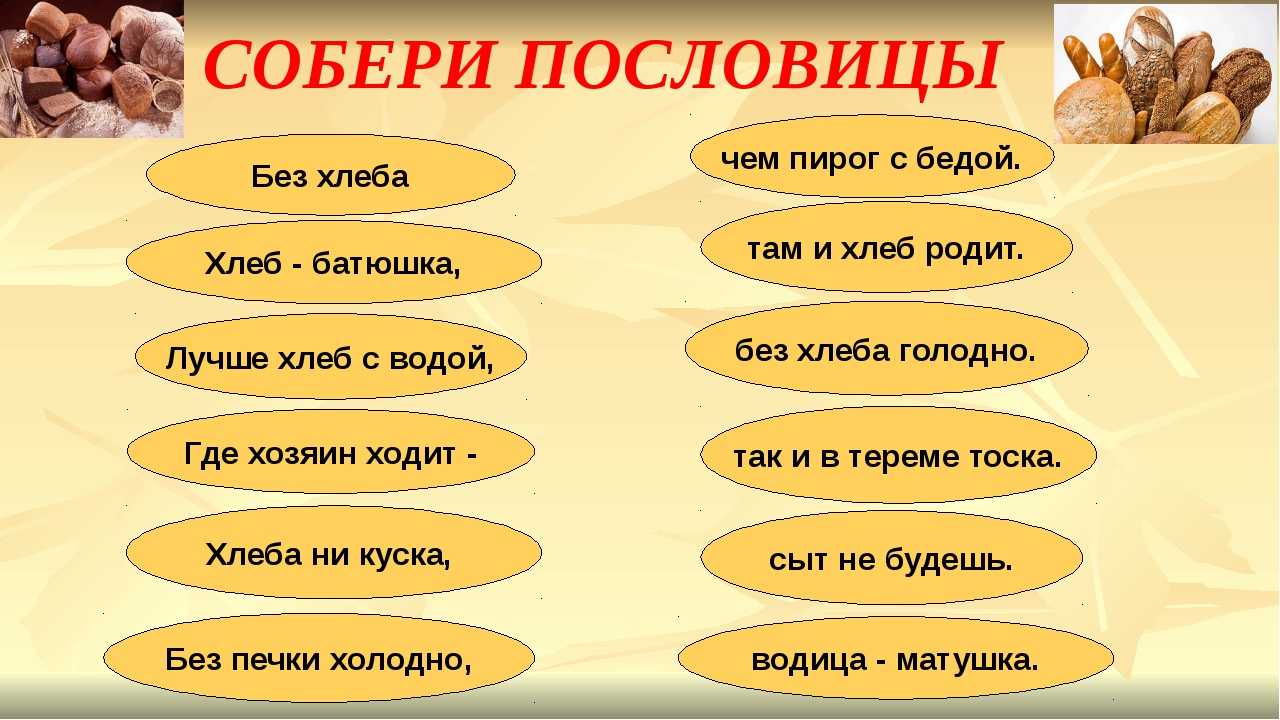 Познавательные загадки с существительными для учеников 3-5 классов Коллекция самых интересных и полезных головоломок для детей