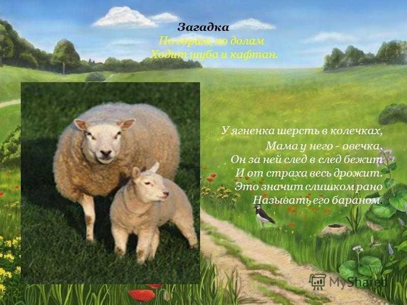 Логические задачи для взрослых. сложные загадки на логику