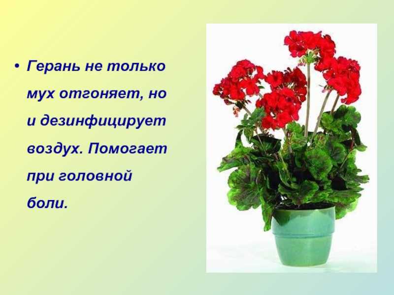 № 335 статья" поэзия как средство развития образной речи ребенка-дошкольника." - воспитателю.ру - сайт для воспитателей детских садов