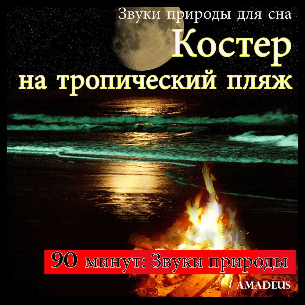 Звуки природы онлайн — 5 сервисов