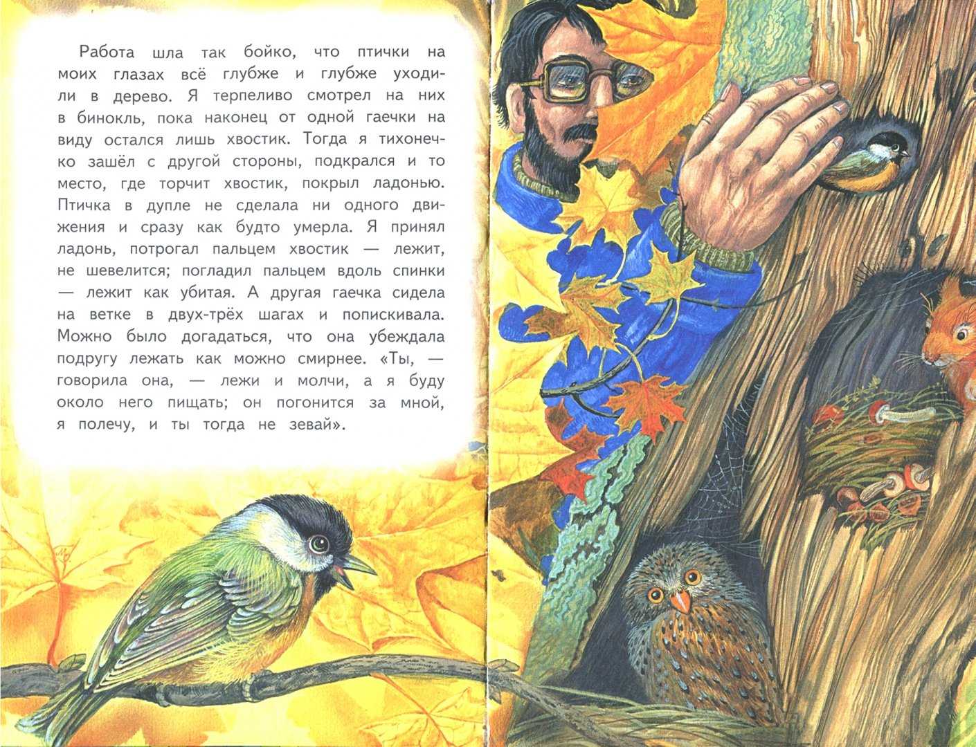 Пришвин. рассказы о природе для 2 класса читать