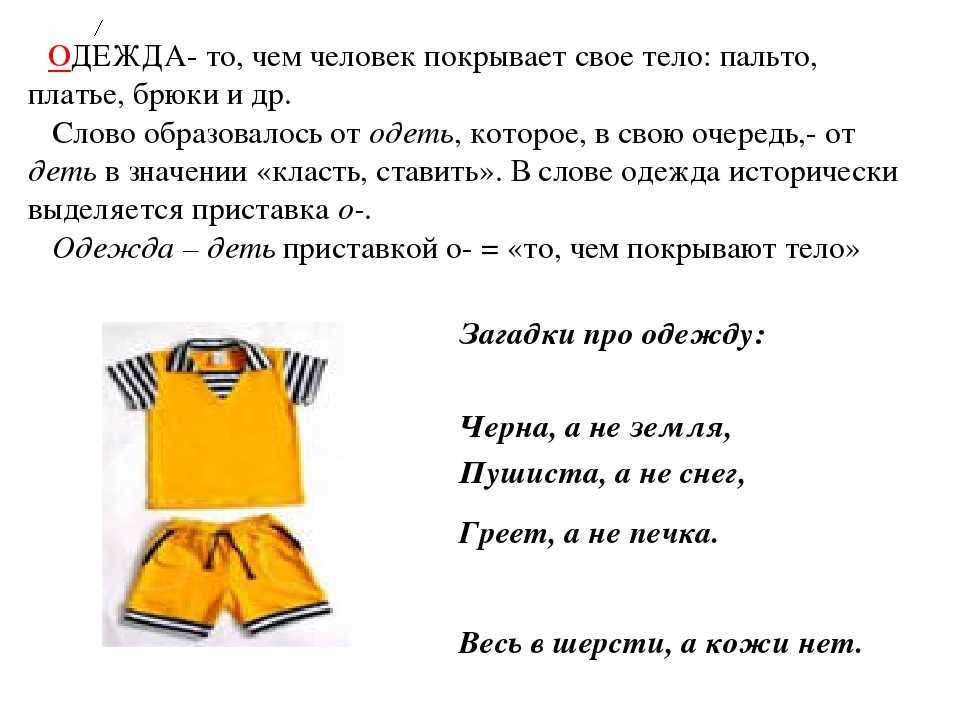 Загадки с подвохом и на логику – смешные и сложные загадки с ответами