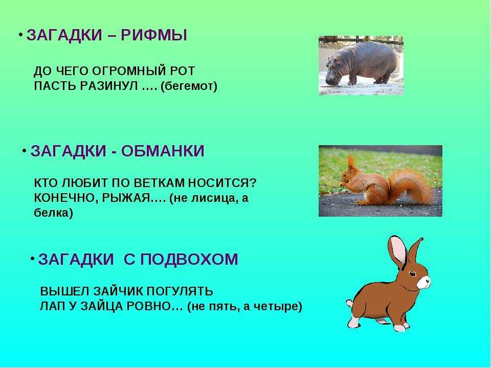 Загадки для детей