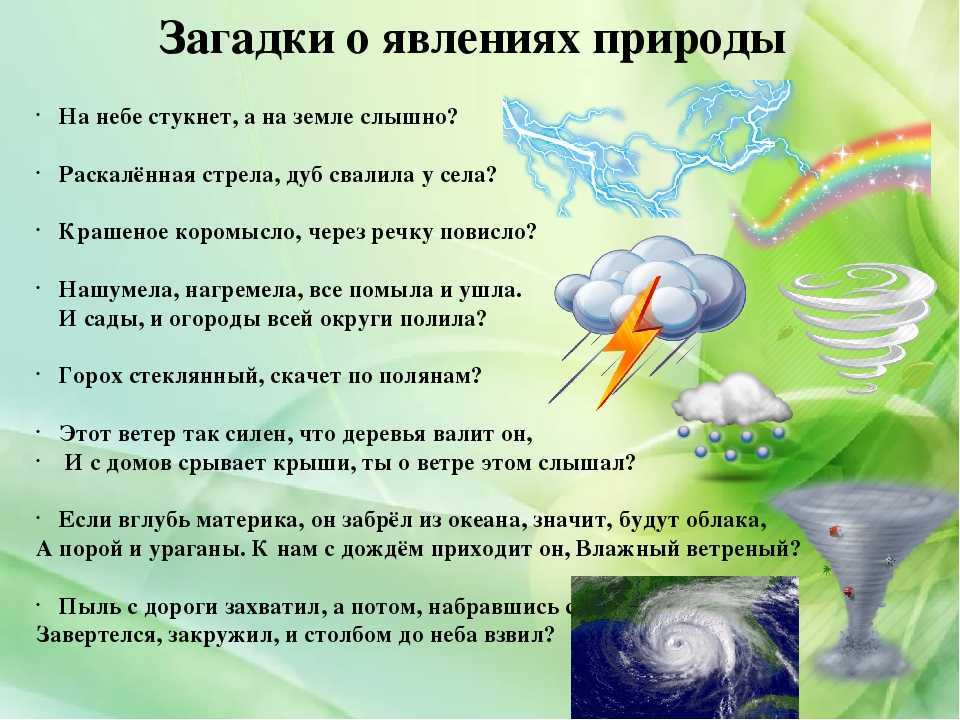 Предлагаем устроить игровую минутку и загадать ребенку загадку про поле Это интересно и полезно для развития интеллекта