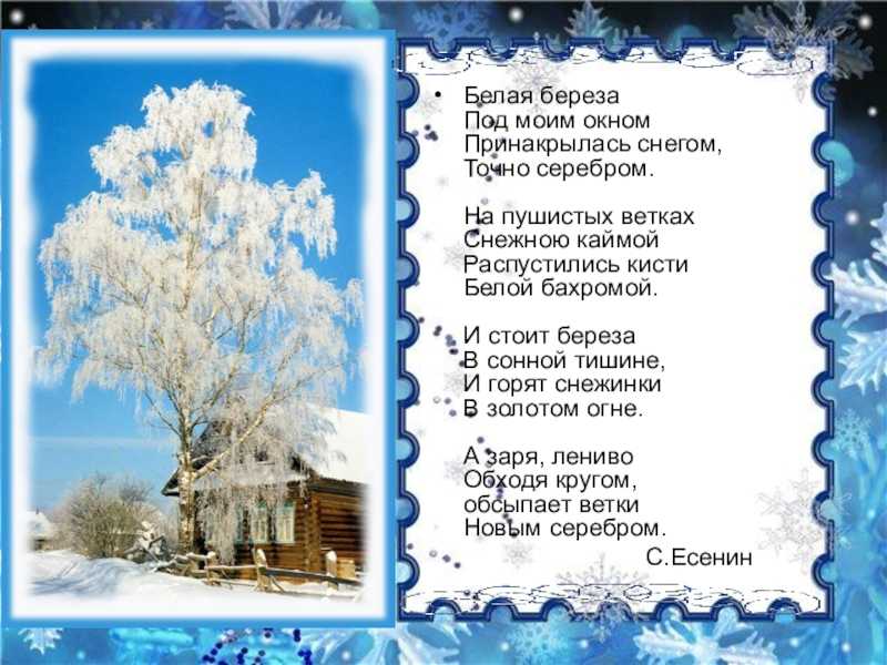 Сергей есенин ~ береза ("белая берёза под моим окном") + анализ 3 варианта