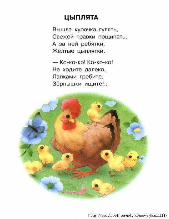 Стихи про курочек