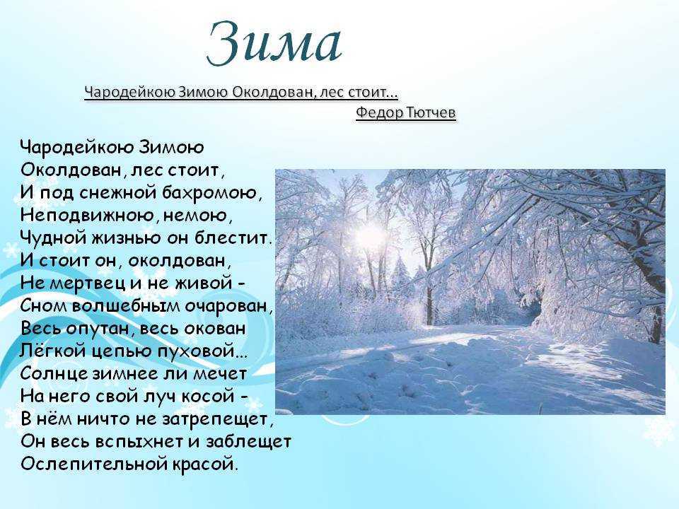 Стихи про зиму для детей - короткие и красивые стихотворения для заучивания