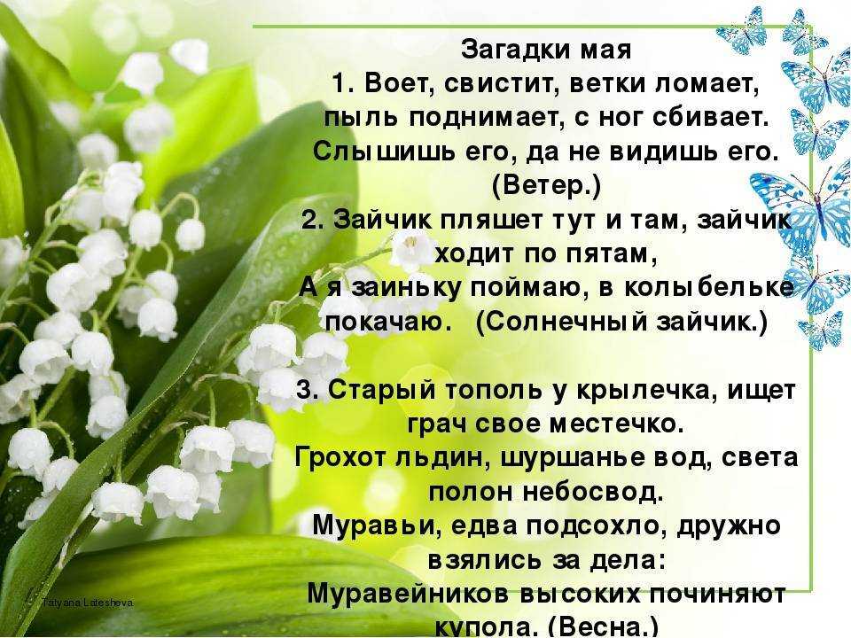 Стихи про май короткие - весенние стихотворения