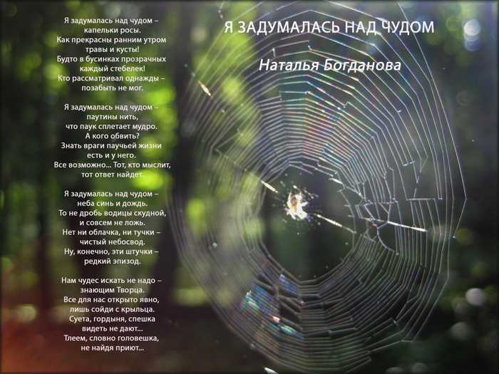 Лучшие поздравления с днем учителя (красивые стихи)