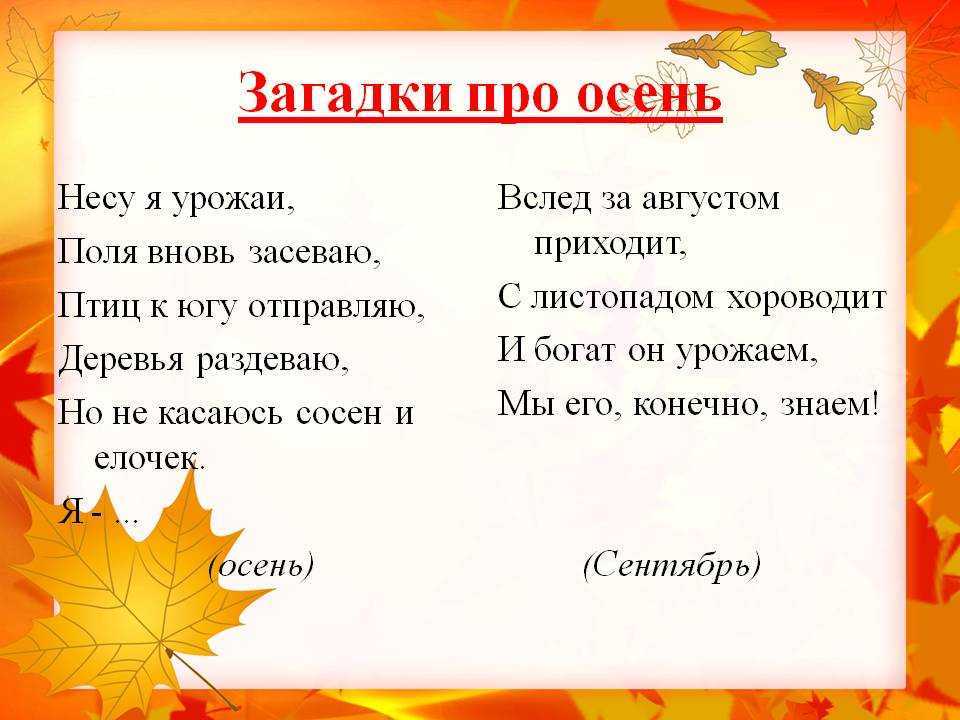 Загадки для детей 8 лет с ответами