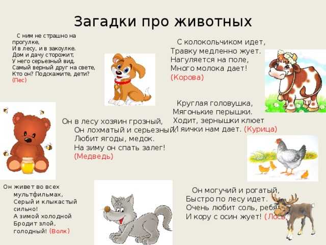 Загадки на логику с ответами для детей и взрослых