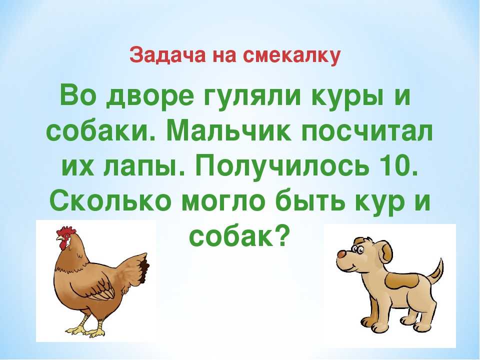 Загадки и ребусы для детских квестов