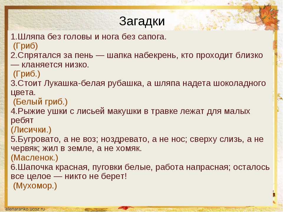 Загадки о грибах для детей