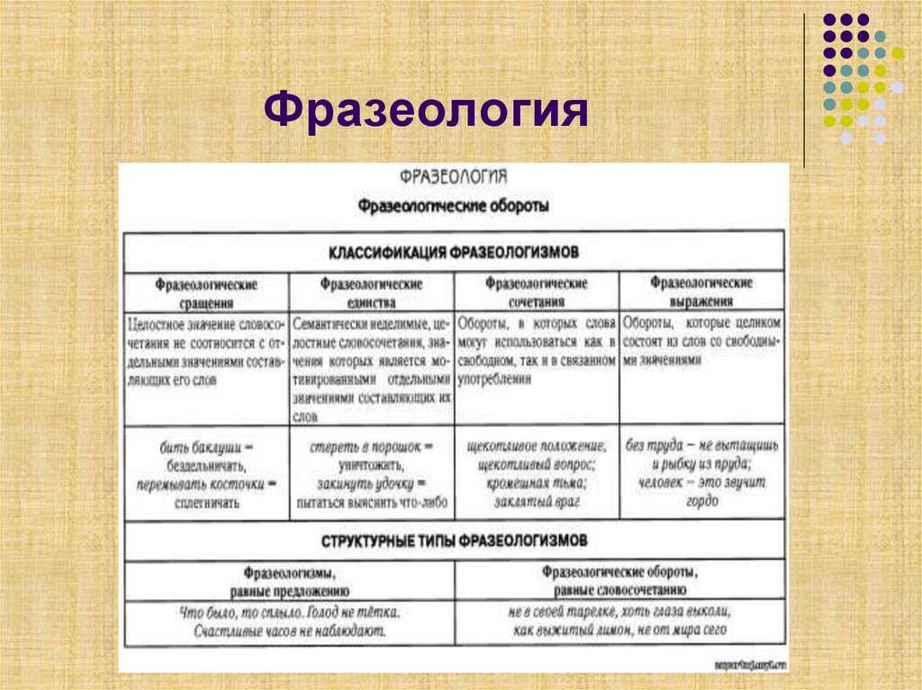 Фразеологизмы о школе - подборка для детей всех возрастов