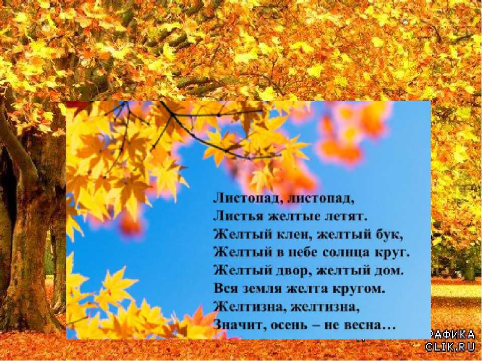 Стихи про осень для детей:красивые и грустные, смешные и короткие, с юмором | жл