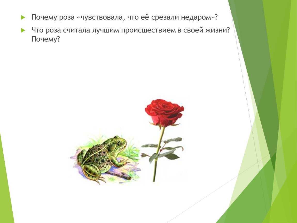 Сказки гаршина читать онлайн, список сказок для детей