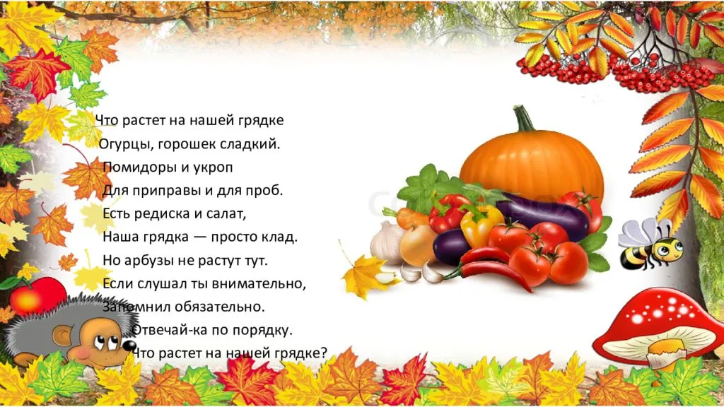 Стихи про овощи для дошкольников