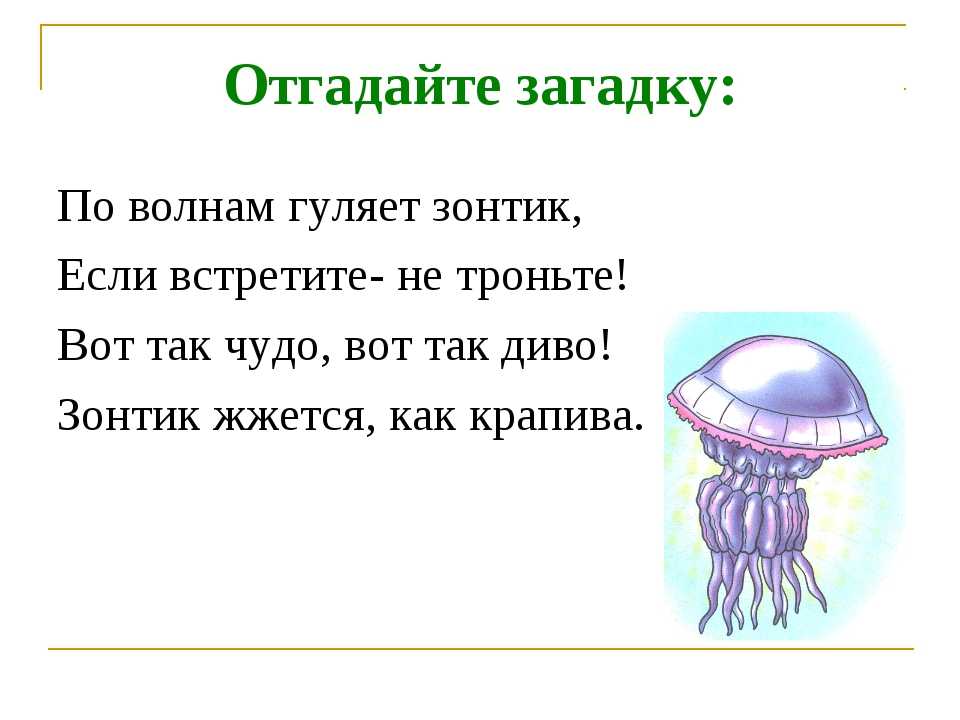Загадки на дедукцию для детей с ответами