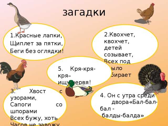 Загадки для детей про весну с ответами