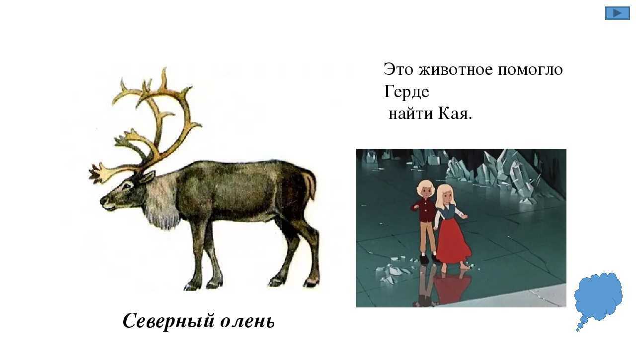 100 хитрых загадок, которые с лёгкостью отгадывали советские школьники - лайфхакер
