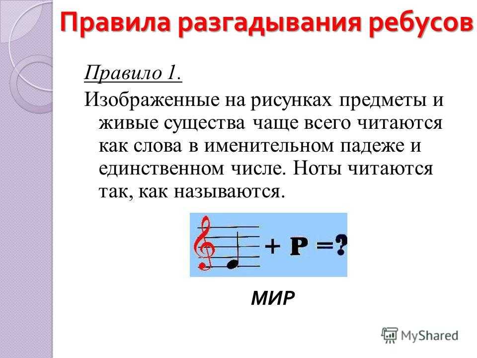 Детские загадки про животных с ответами