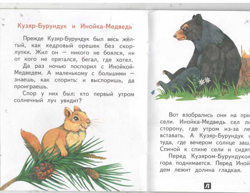 Музыкант - читать с картинками - бианки виталий