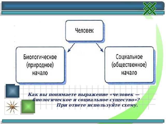 Лучшие загадки для детей 7-8 лет с ответами