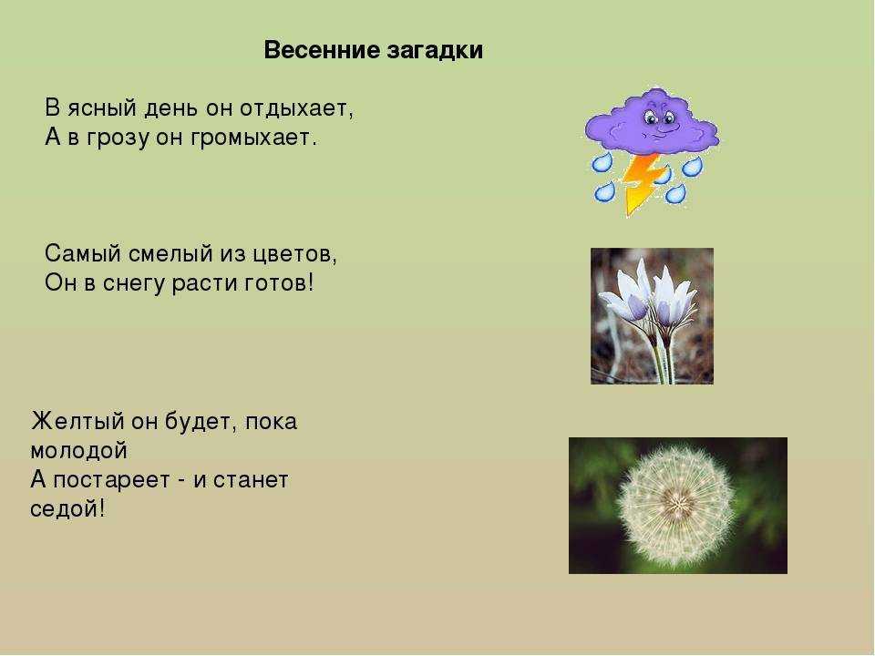 Русские народные загадки для детей на разные темы