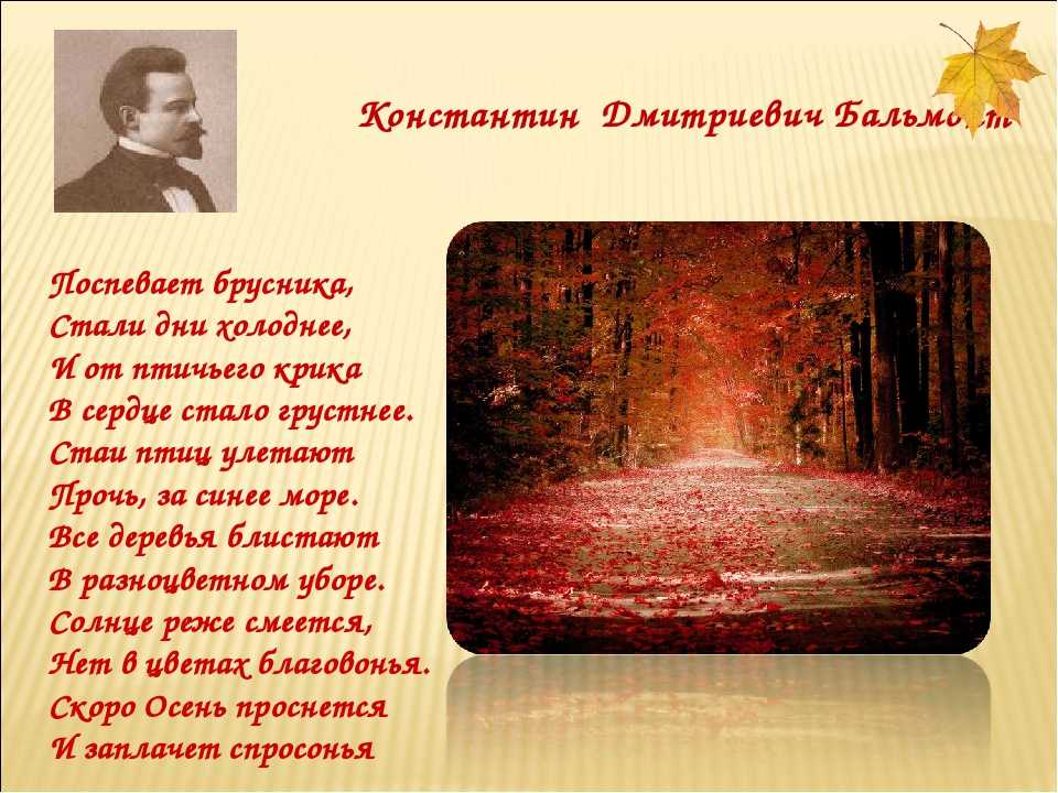 Рябинка, рябинушка. стихи для детей про рябину