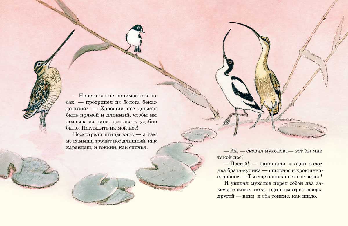 Сказки-несказки: чей нос лучше? - виталий бианки