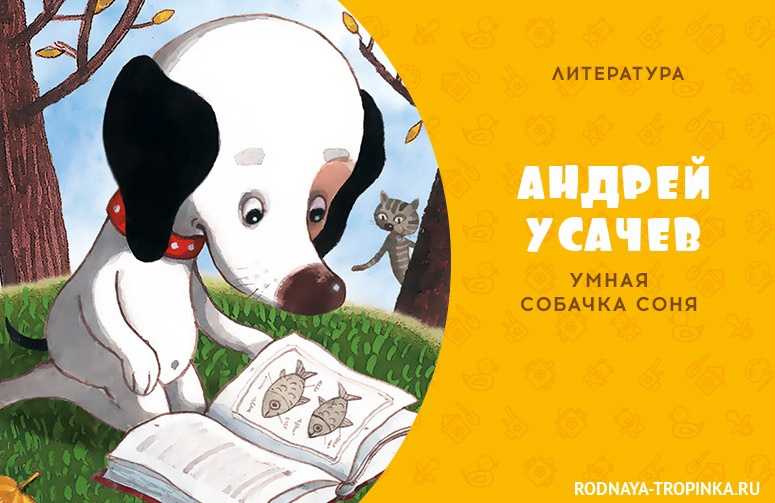 Андрей усачев ★ умная собачка соня (litres) читать книгу онлайн бесплатно
