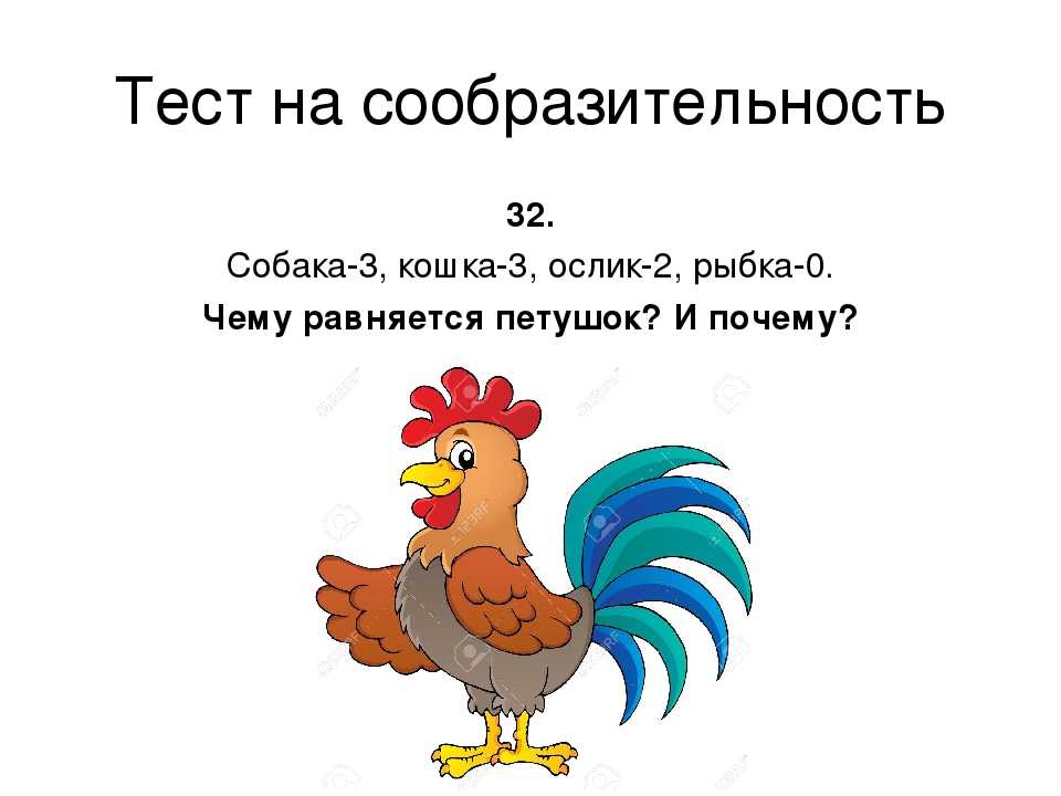 Загадки на логику для детей: 100 занимательных задач