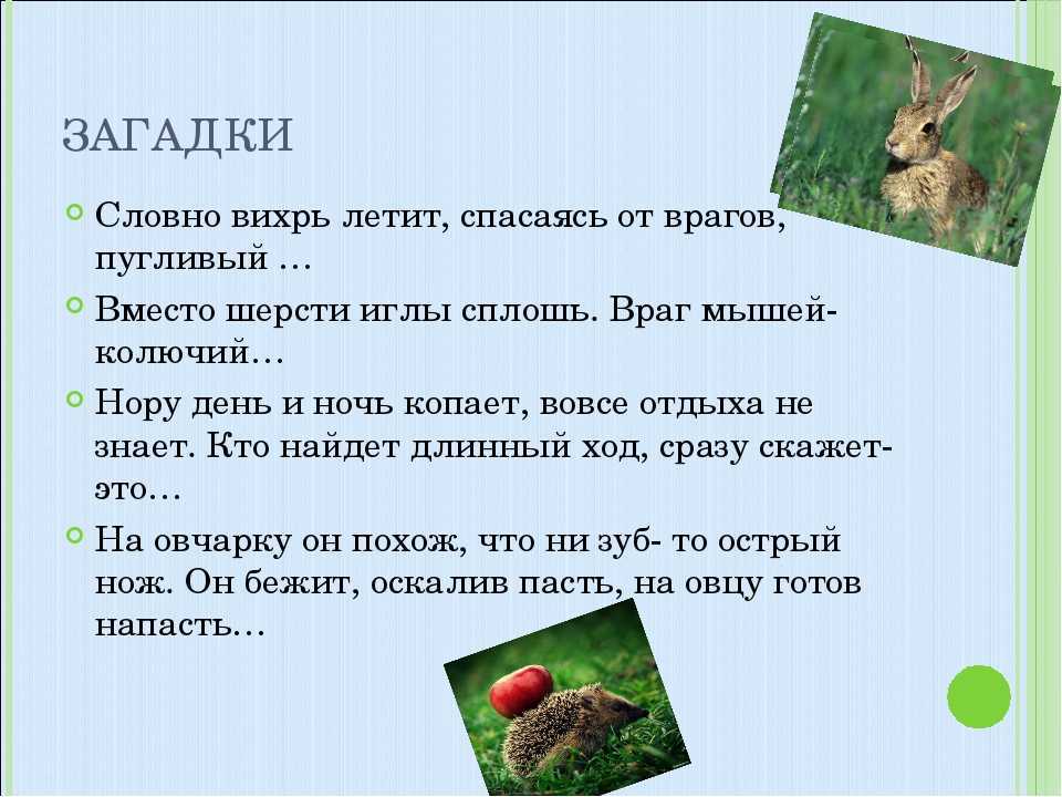 Решаем сложные головоломки и тренируем мозг