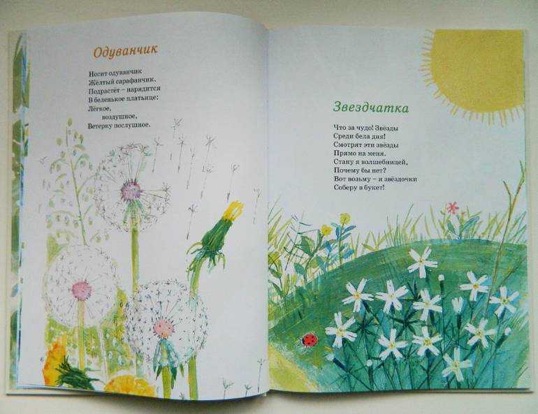 Сколько солнца! сколько света! стихи про лето для детей