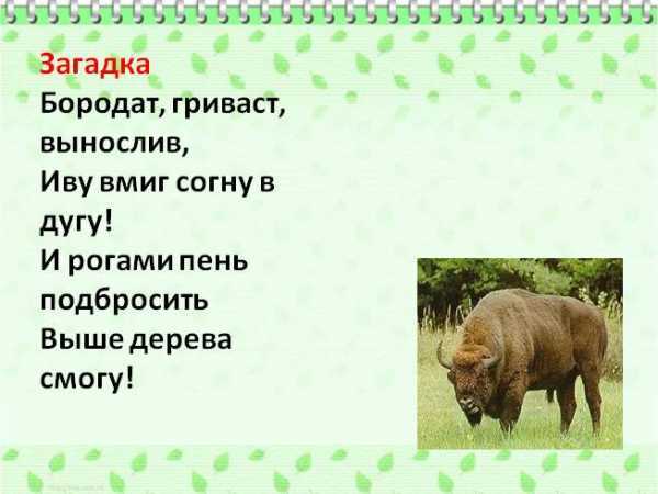 Самые известные детские загадки, популярные советские загадки