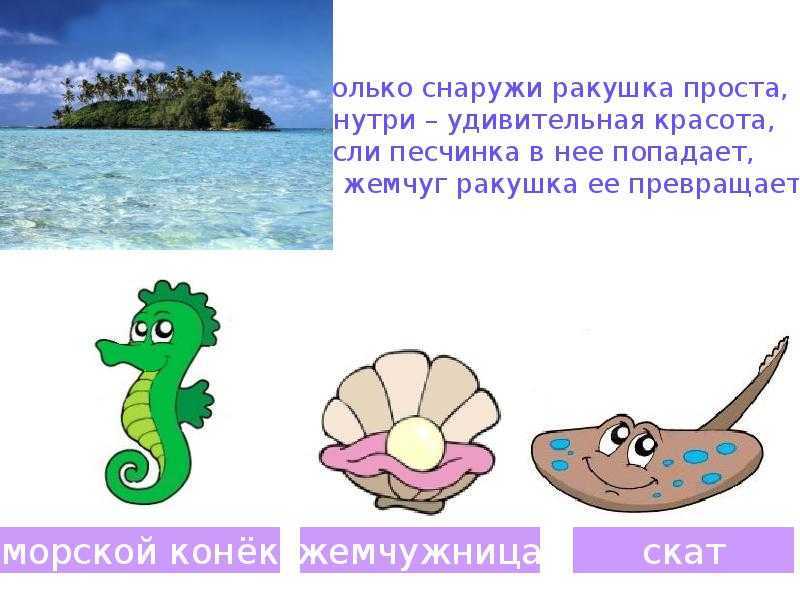 Загадки про улитку для детей: 70 лучших загадок для малышей 3-4 лет и дошкольников 6-7 лет / mama66.ru