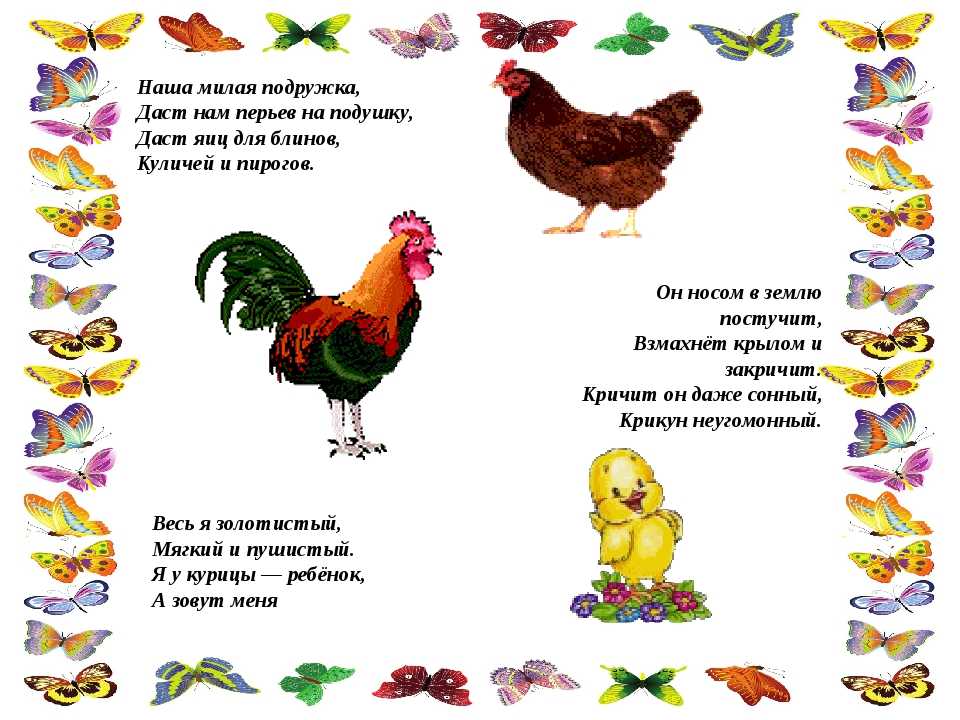 Загадки про домашних птиц для детей