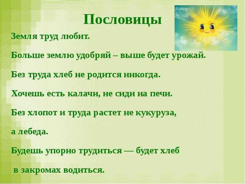Загадки и пословицы о растениях нашего края