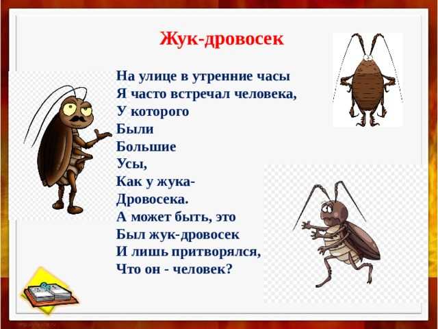 Стихи, которые стоит выучить наизусть взрослым