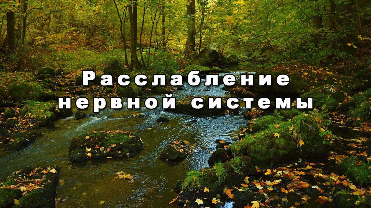 5 сервисов звуки природы онлайн
