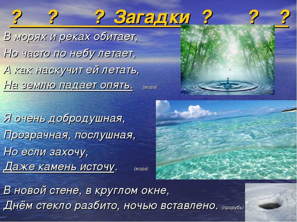 Час загадок. соревнование по разгадыванию загадок, 5-7 класс