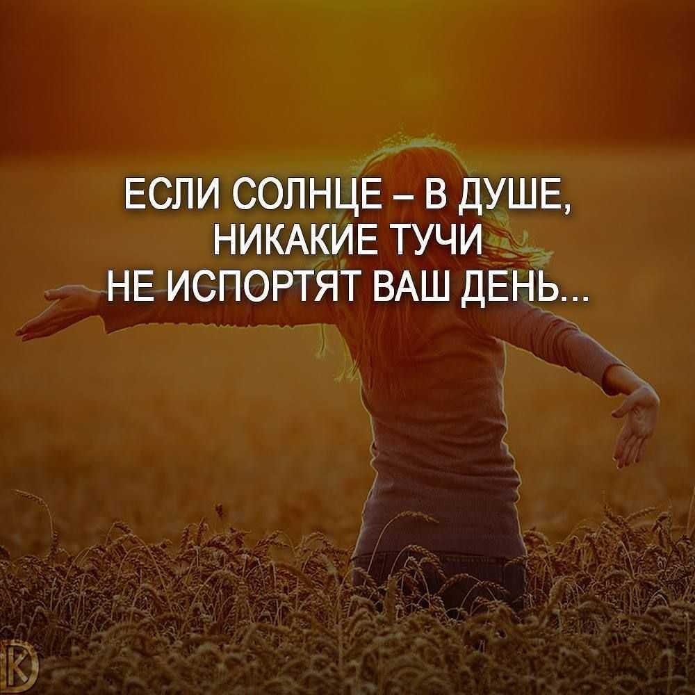 Пословицы и поговорки о мудрости и глупости
