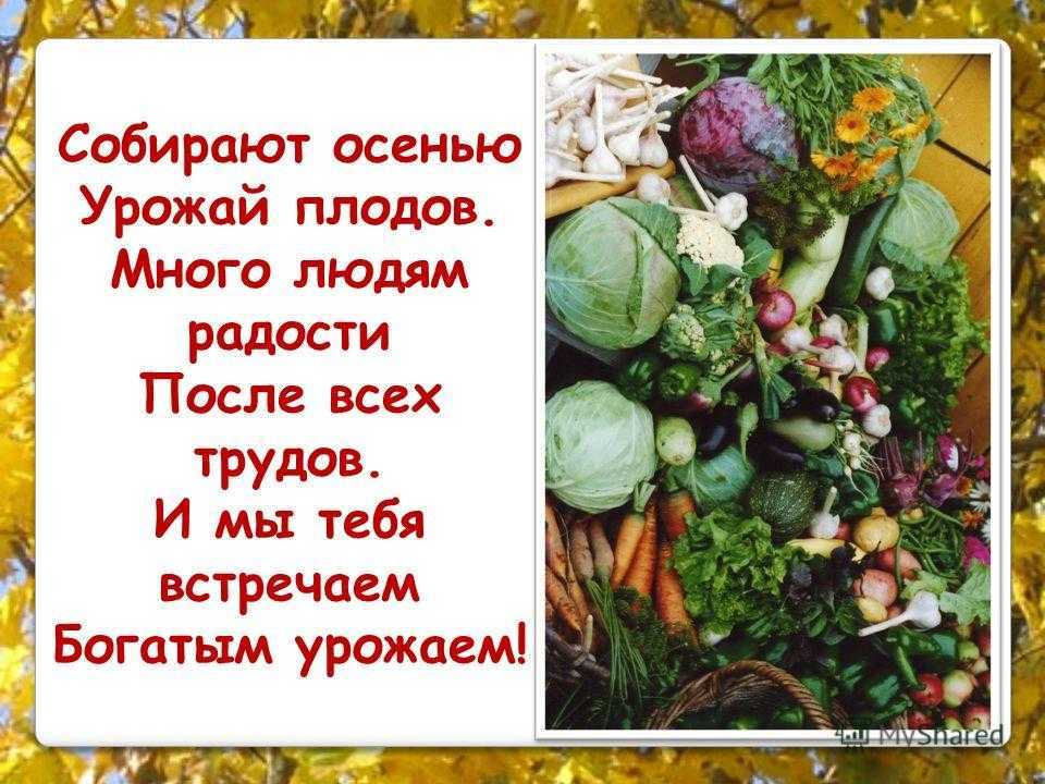 Стих про огород для детей - клуб органического земледелия