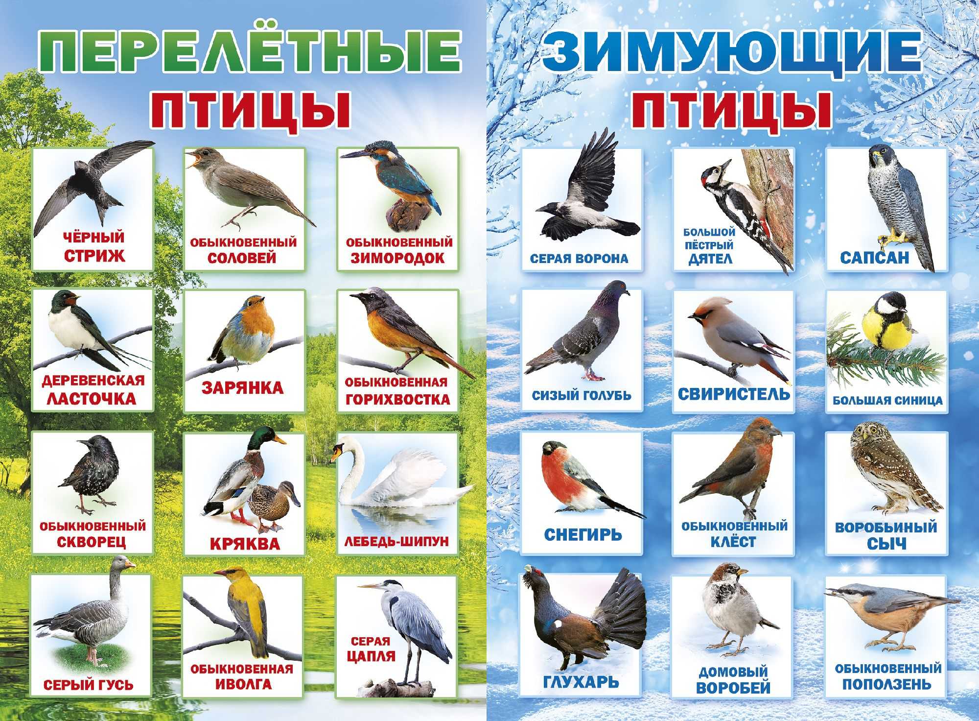Лучшие загадки для детей 7-8 лет с ответами