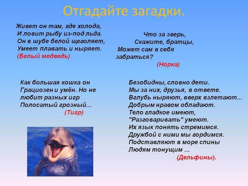 Для расширения кругозора ничего лучше загадок про Красную книгу не придумаешь Ребенку кажется, что он играет, а на самом деле учится - попробуйте разгадать парочку