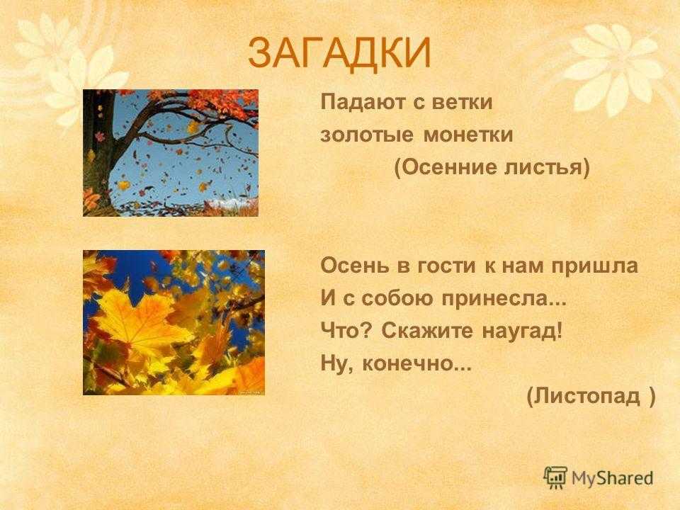 Рассказ про месяц сентябрь для детей