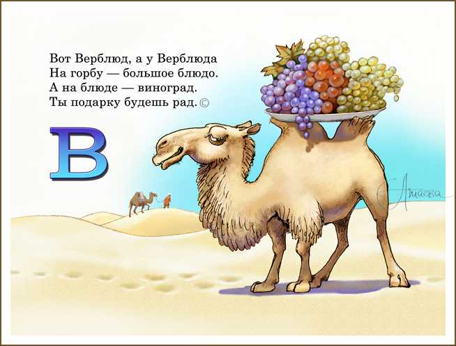 Загадки о природе с ответами, 1 класс - детский час
